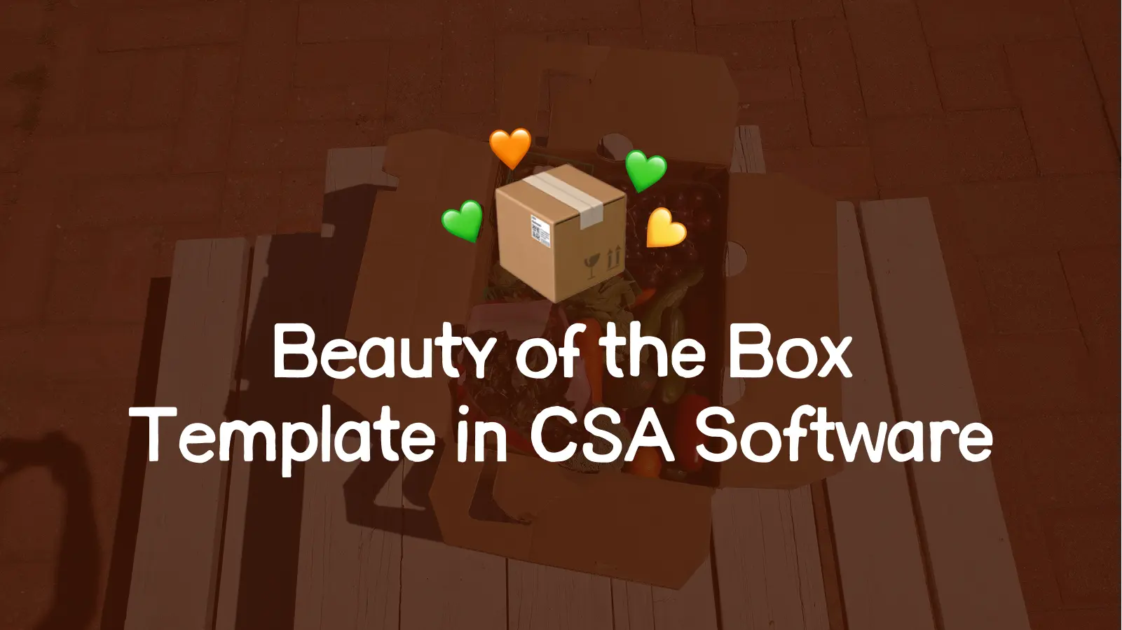 Beauty of the Box Template in CSA Software