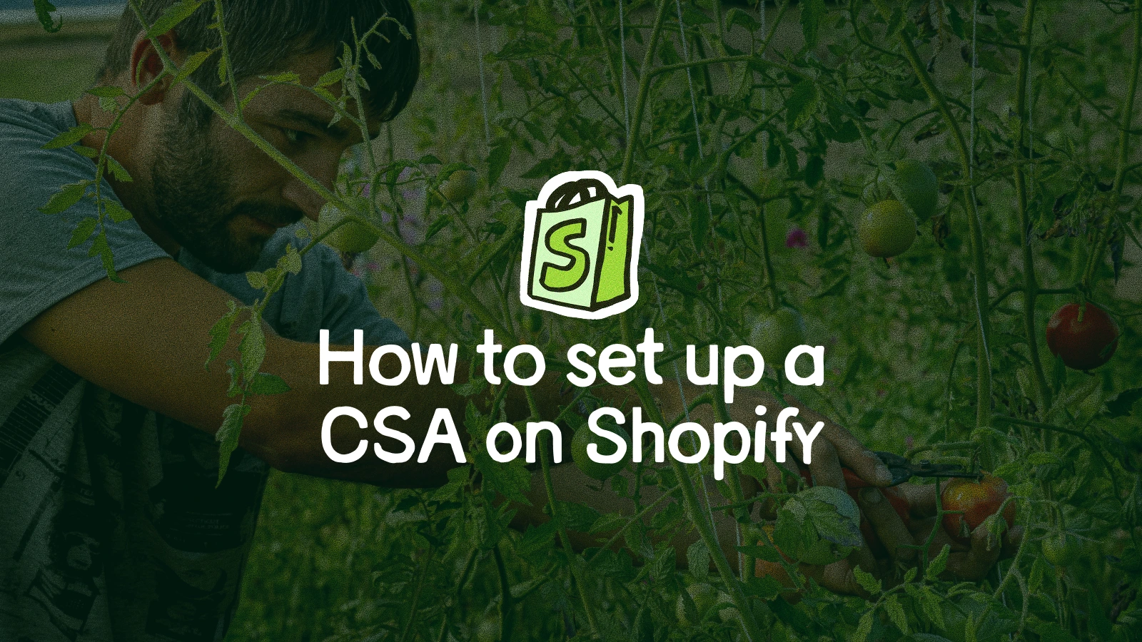How to Set Up a CSA on Shopify