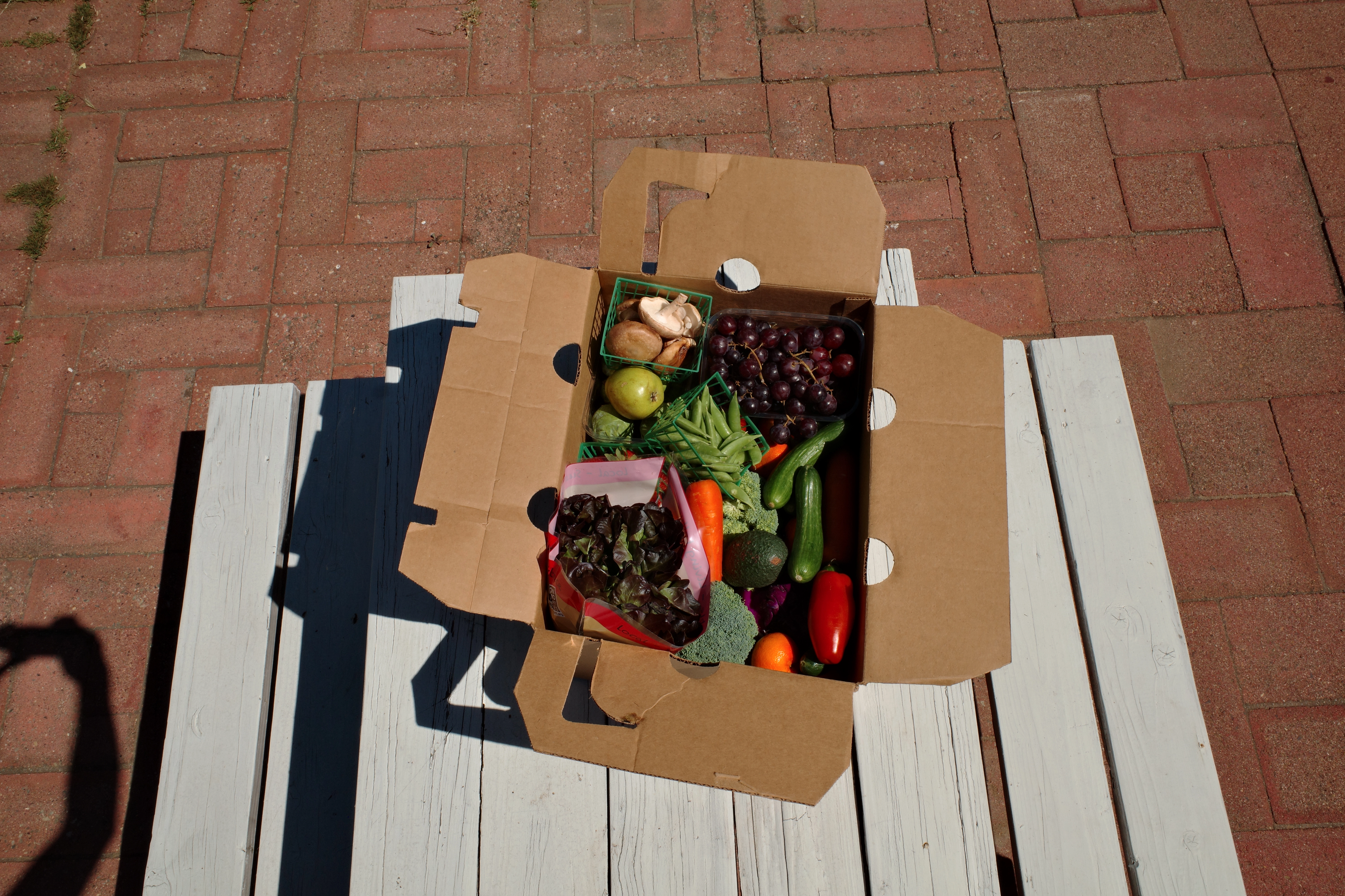 Tips & Tricks for Packing CSA Boxes