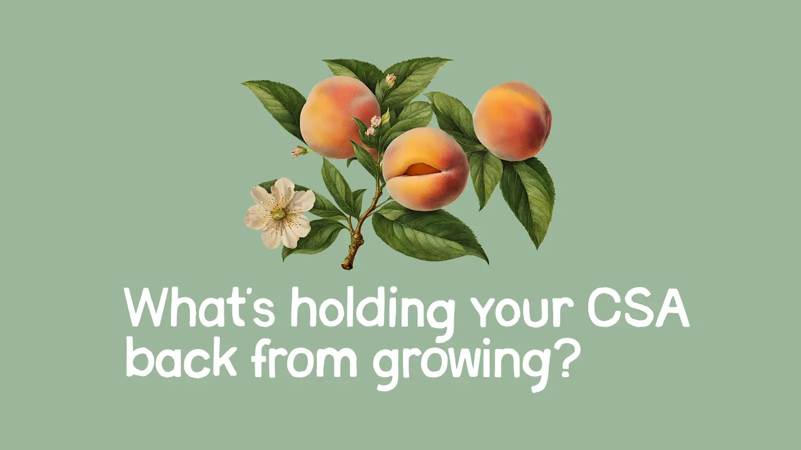 What's Holding Your CSA Back From Growing